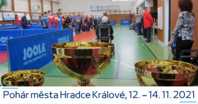 Mezinárodní turnaj družstev “O pohár města Hradce Králové